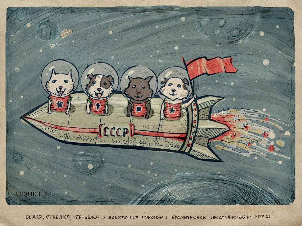 Dogs in a rocket ship