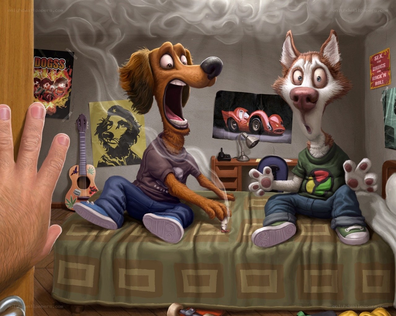 Dogs in a smoky room