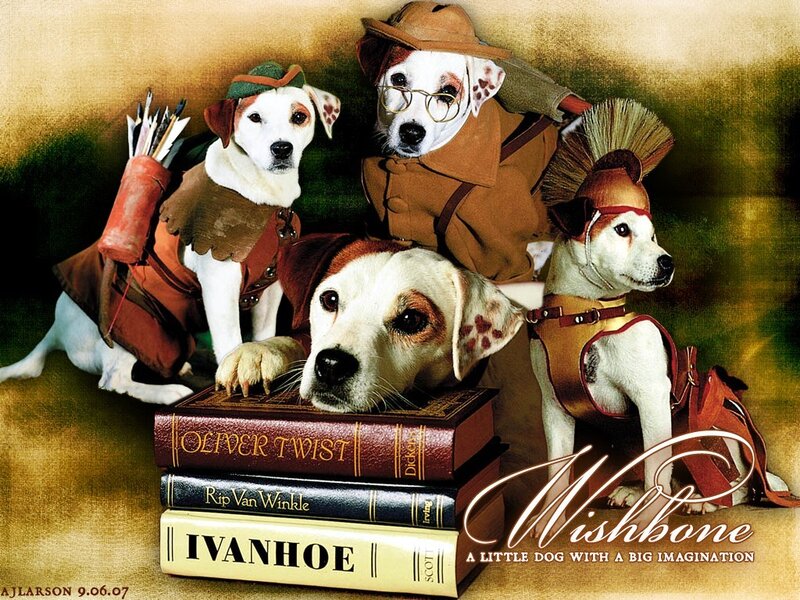 Dogs in costumes with books