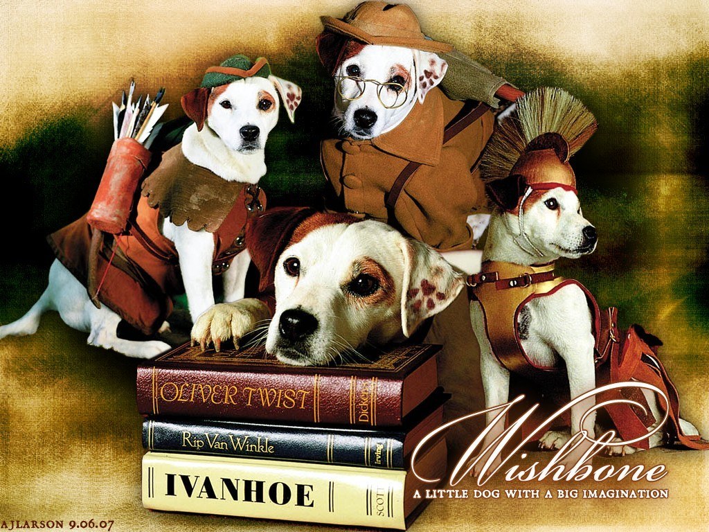 Dogs in costumes with books