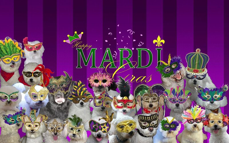 Dogs in Masks