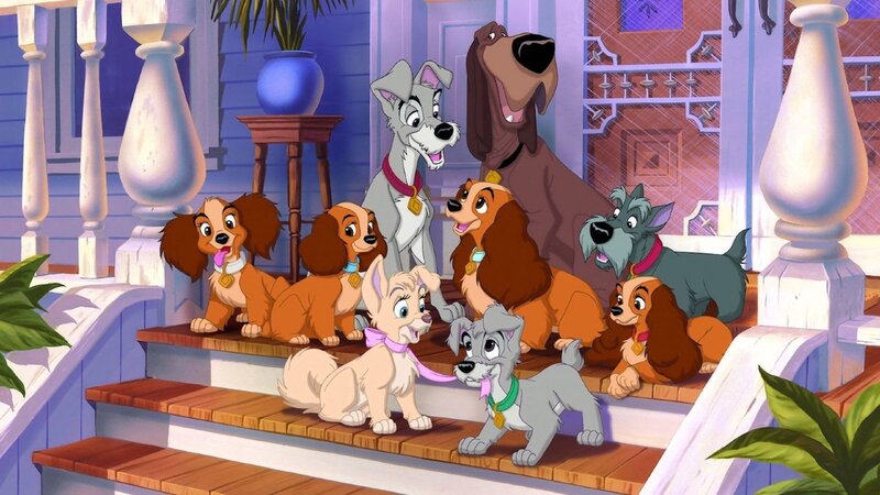 Dogs on Porch Steps