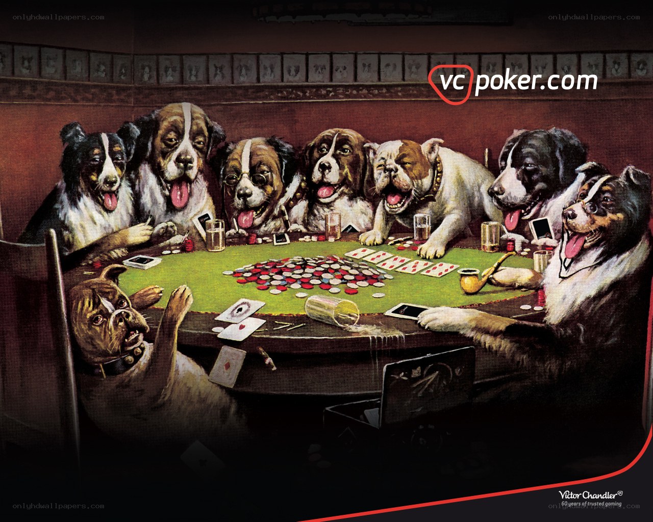 dogs playing poker