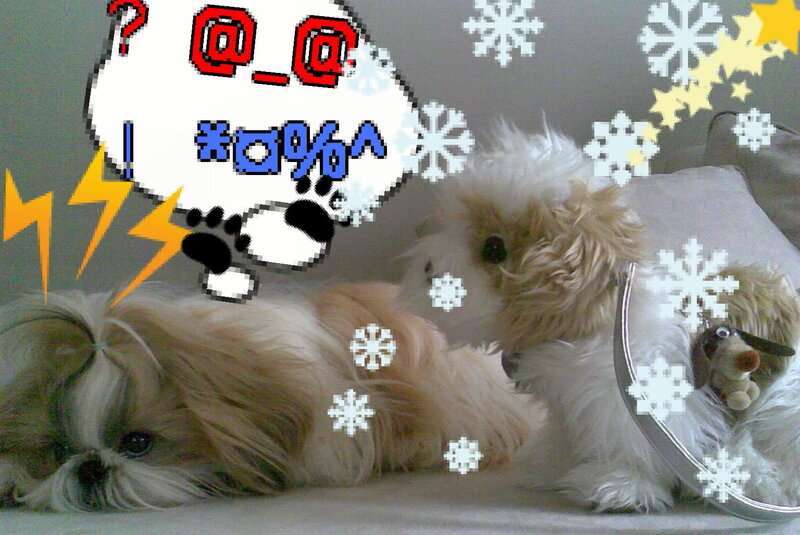 dogs with digital effects