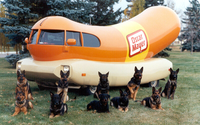 Dogs with hot dog car