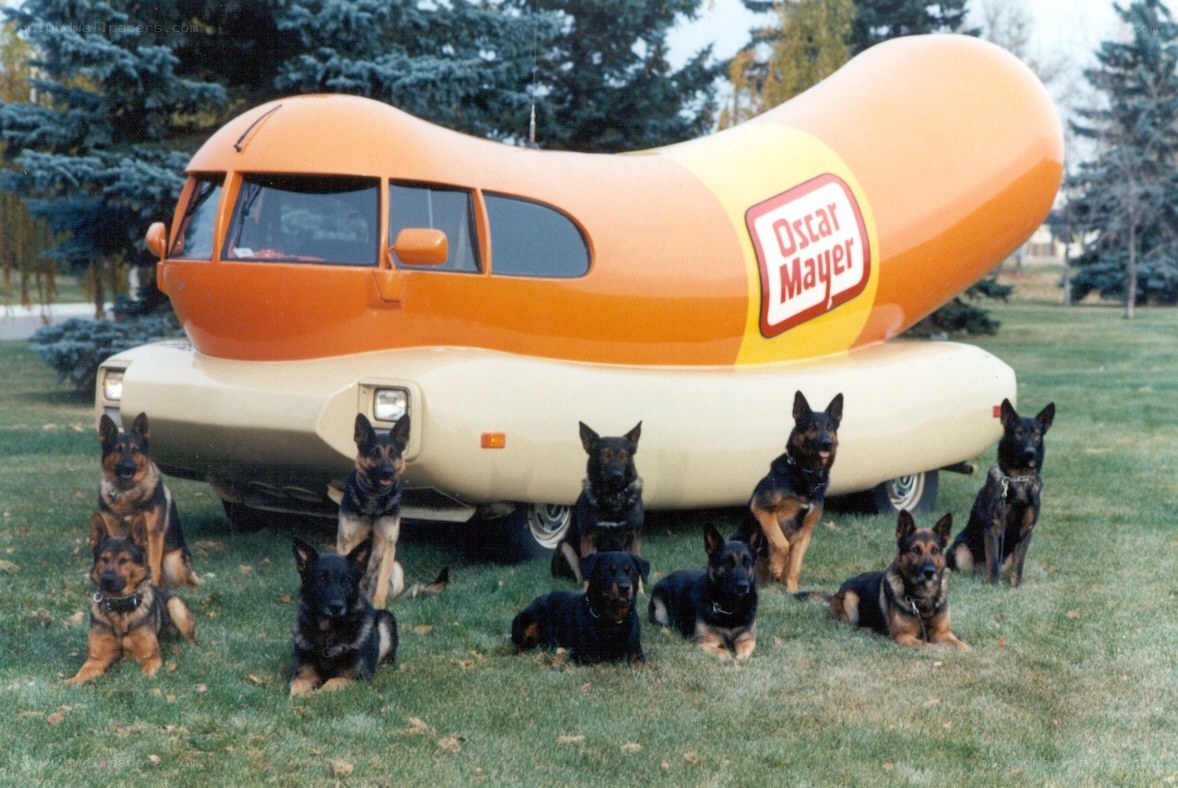 Dogs with hot dog car