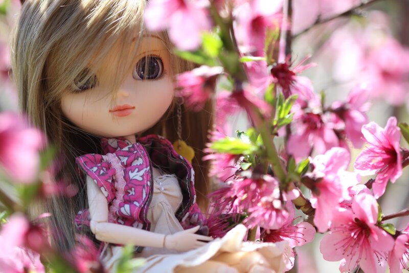 Doll Among Pink Flowers