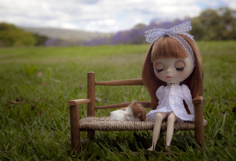 Doll and Kitten on Bench