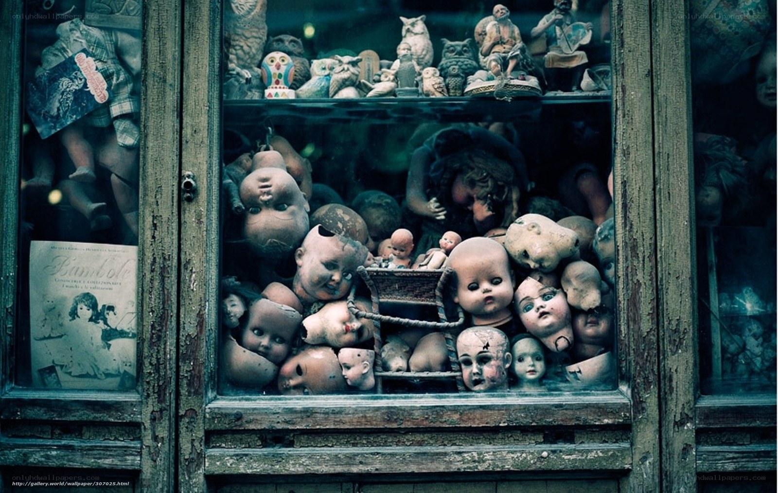 Doll heads in a shop window