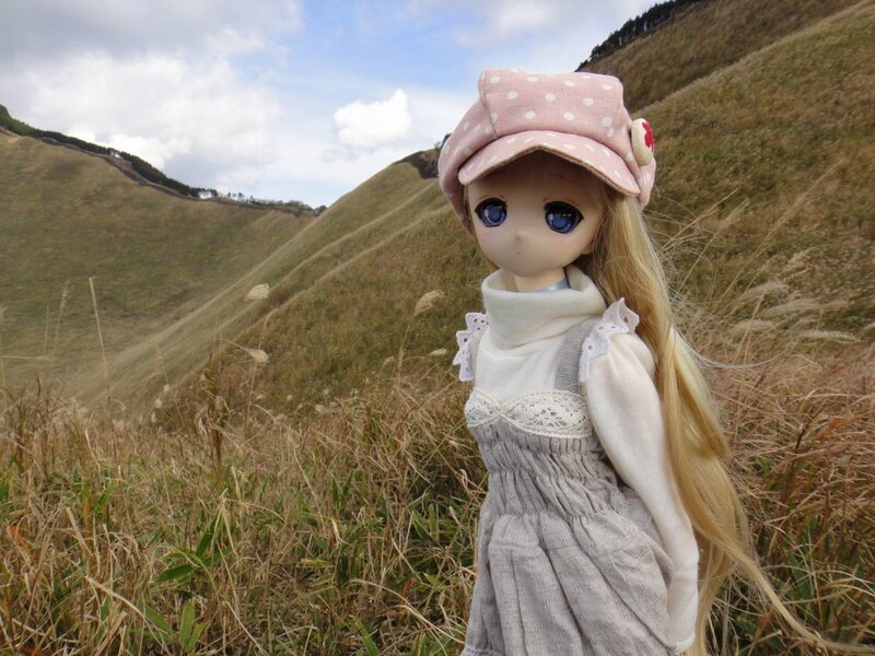 doll in a field