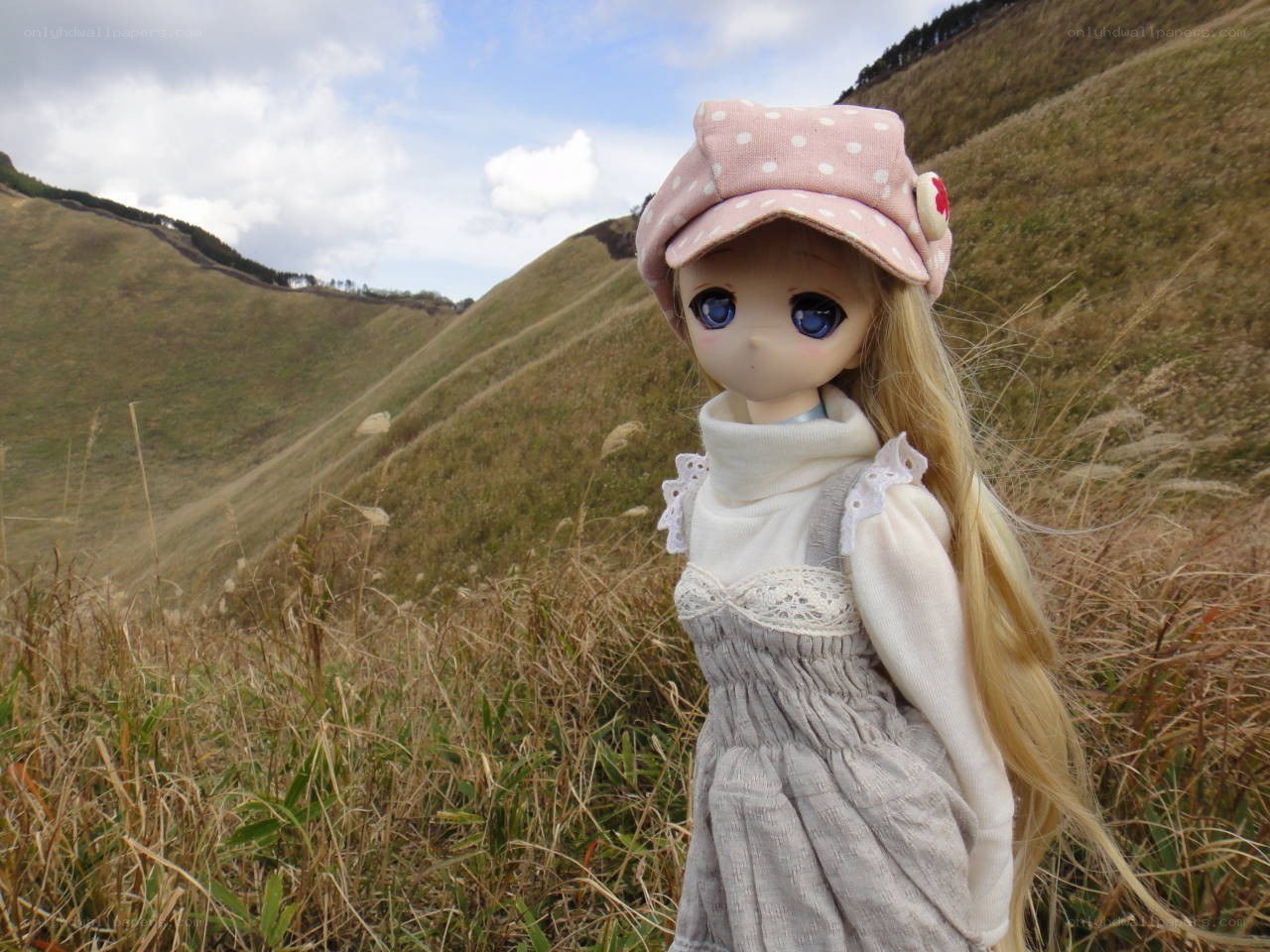 doll in a field