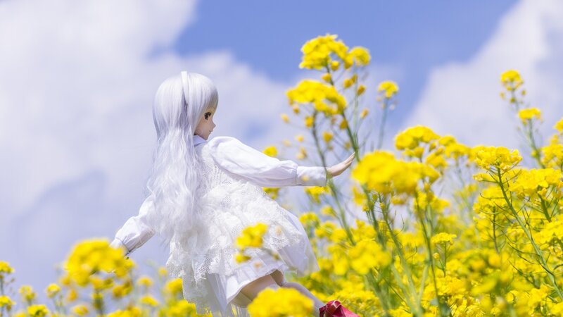 Doll in a Flower Field — Yellow