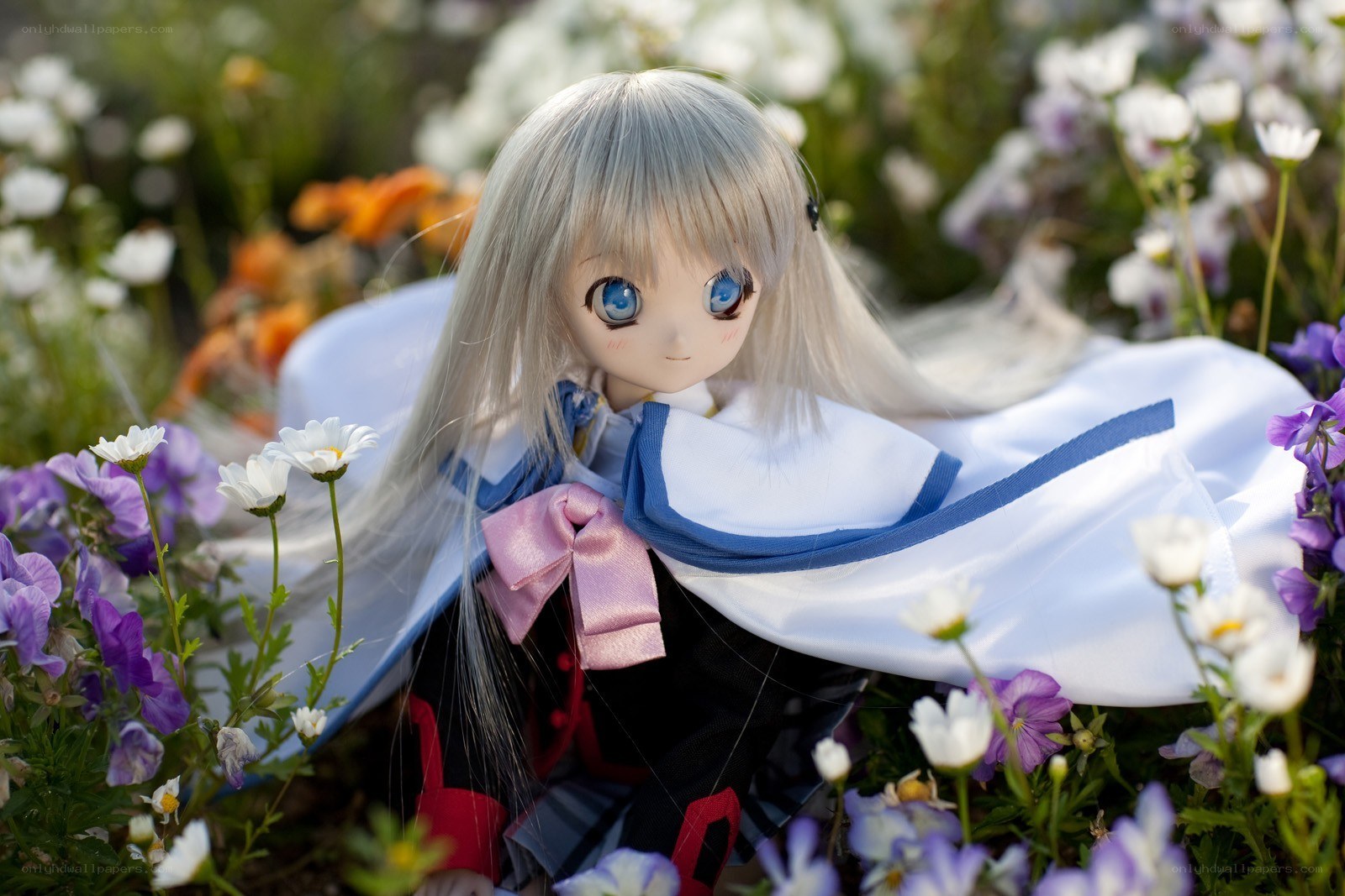 doll in a flower field
