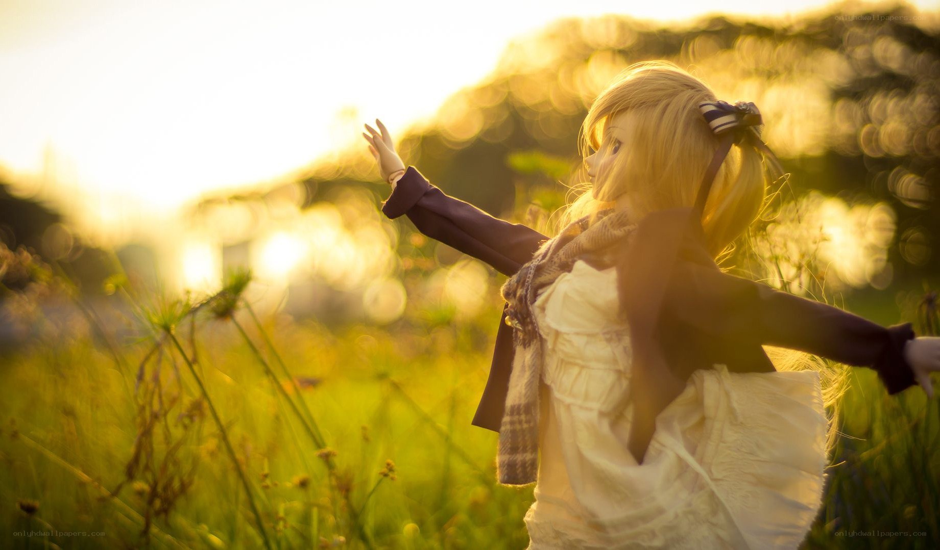 doll in a sunlit field
