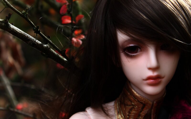 doll in autumn foliage