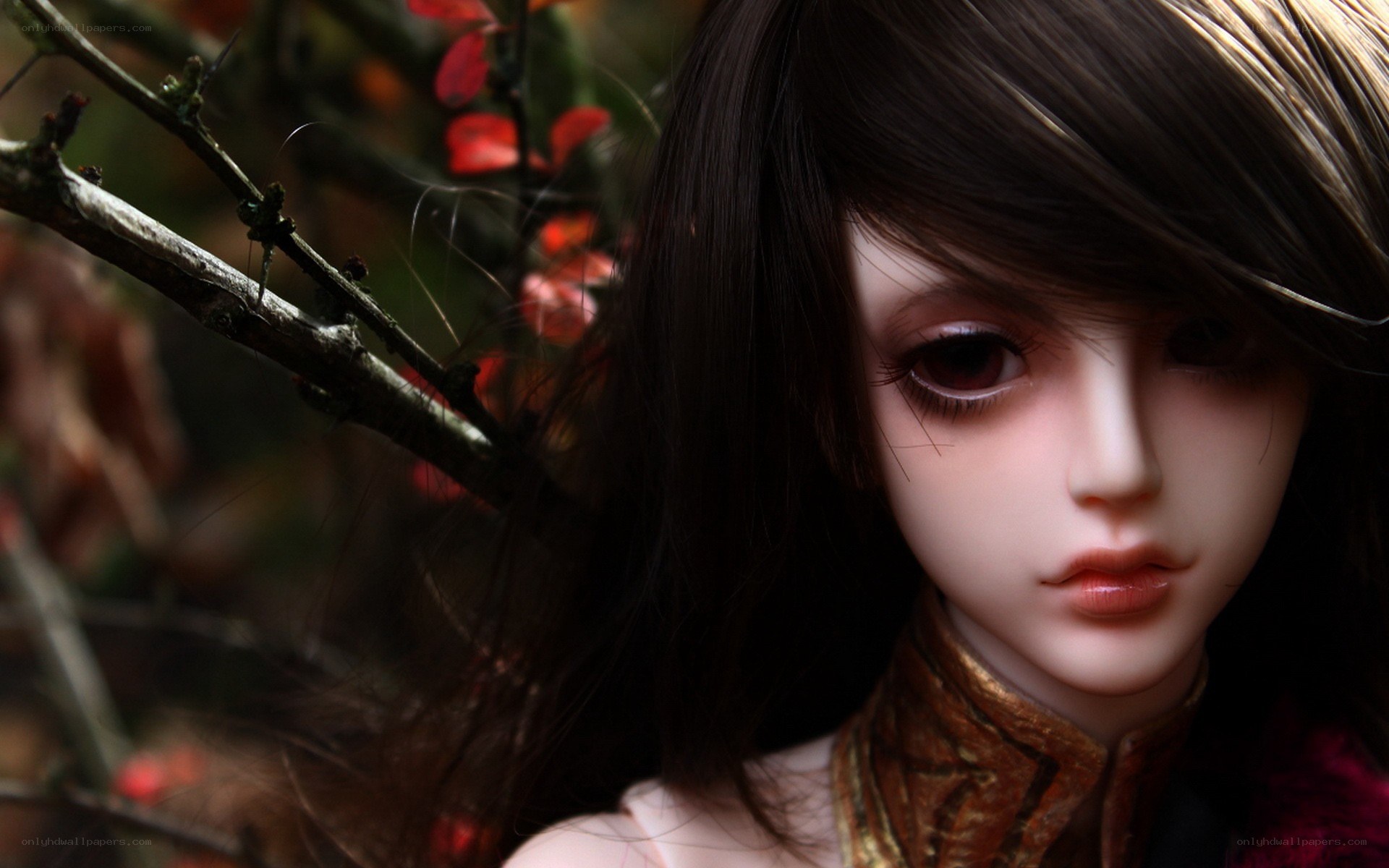 doll in autumn foliage