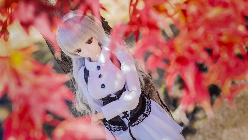 Doll in Autumn Leaves