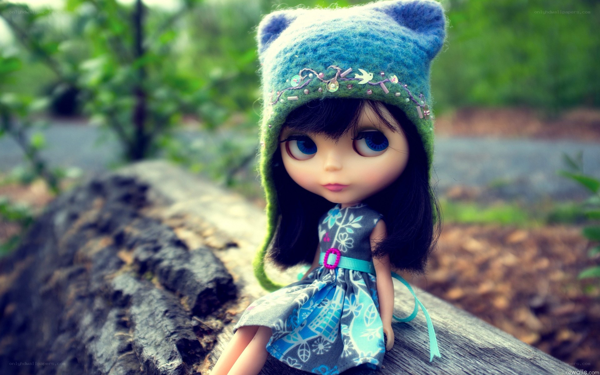 doll in blue hat on log