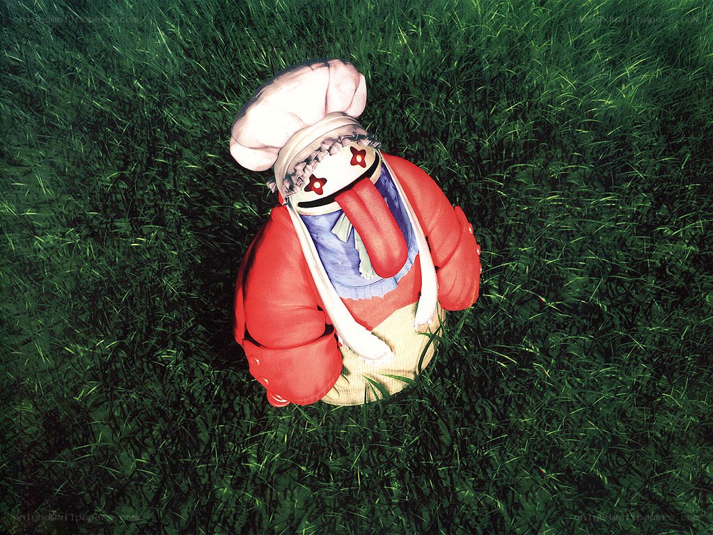 doll in the grass