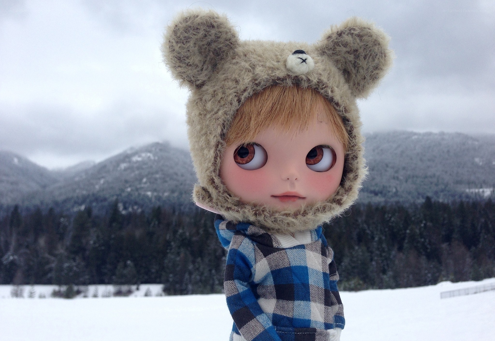 doll in winter landscape