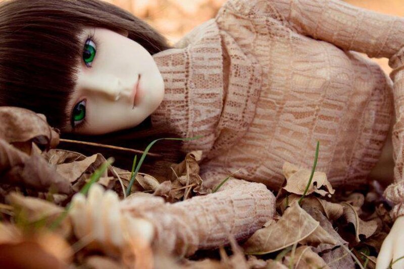Doll Lying in Leaves