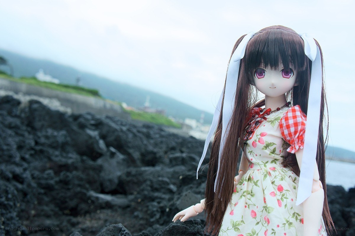 doll on a rocky shore
