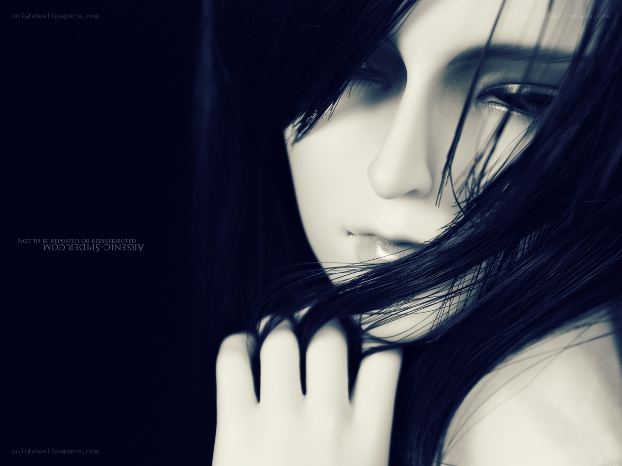 doll with dark hair