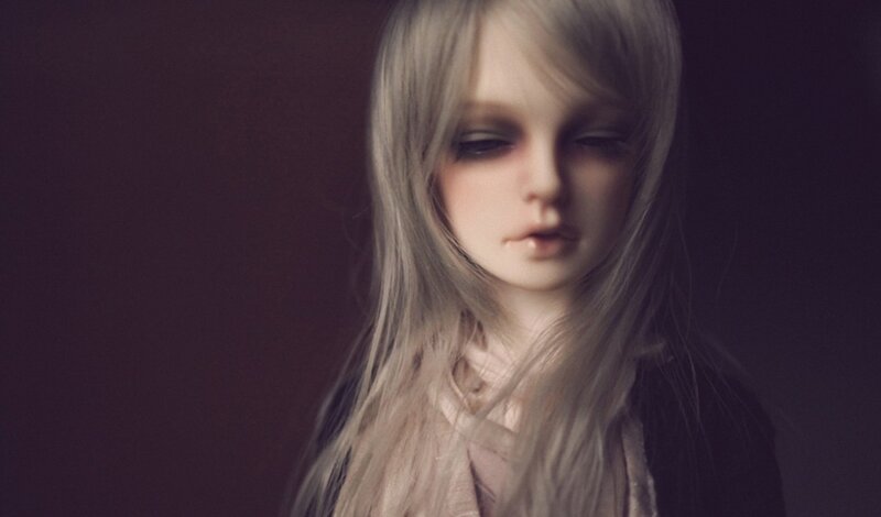 doll with long silver hair