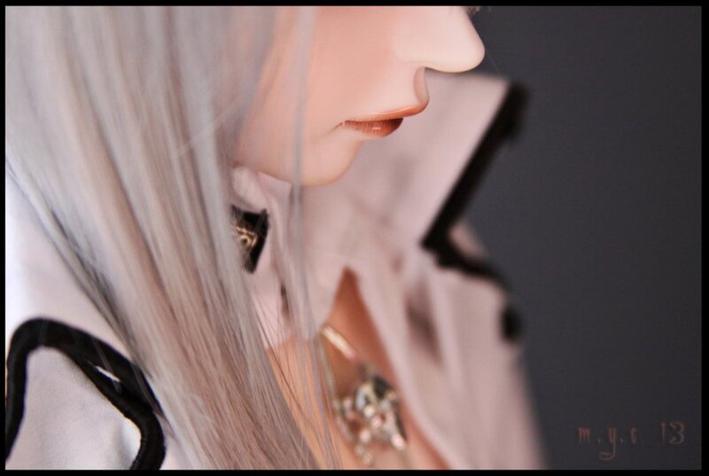 Doll with Silver Hair — Gray, Dramatic