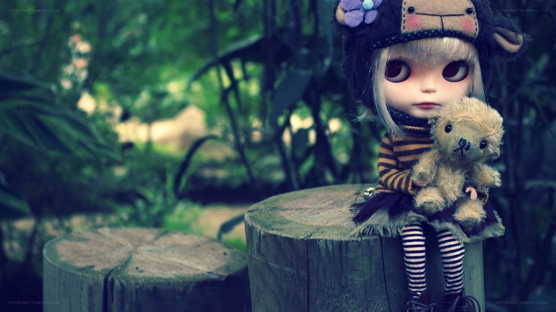 doll with teddy bear in forest