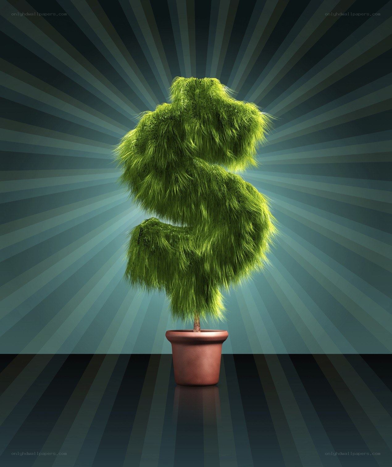 dollar sign plant