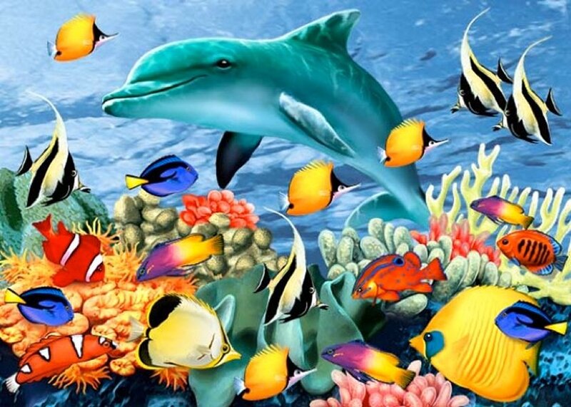 Dolphin Among Tropical Fish