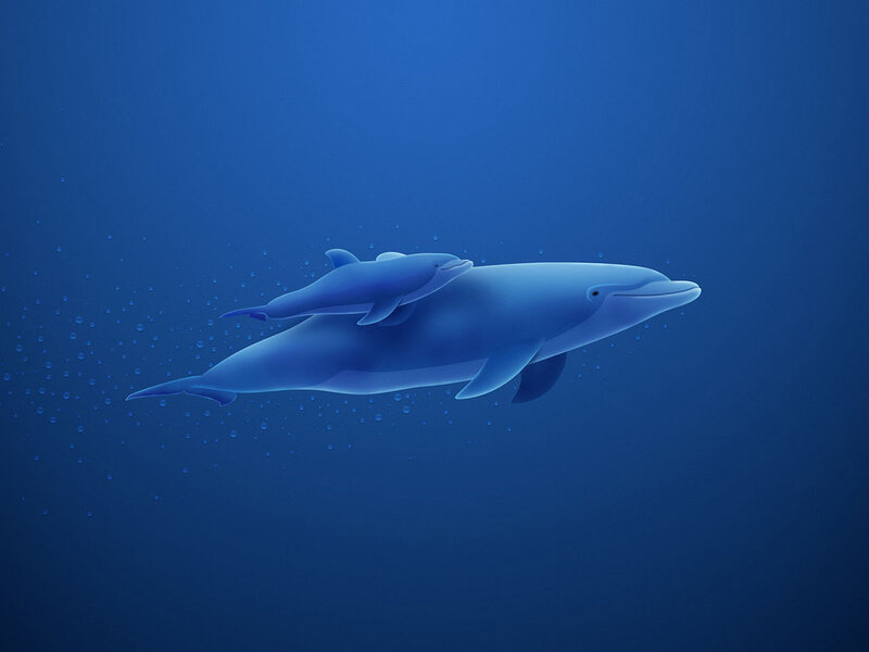 Dolphin and Calf — Blue, Serene, Digital Art