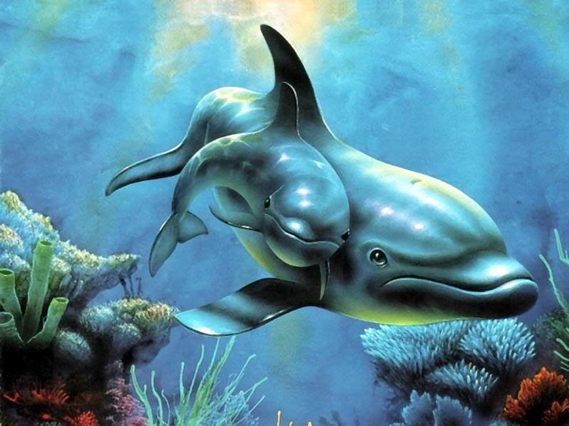 Dolphin and Calf