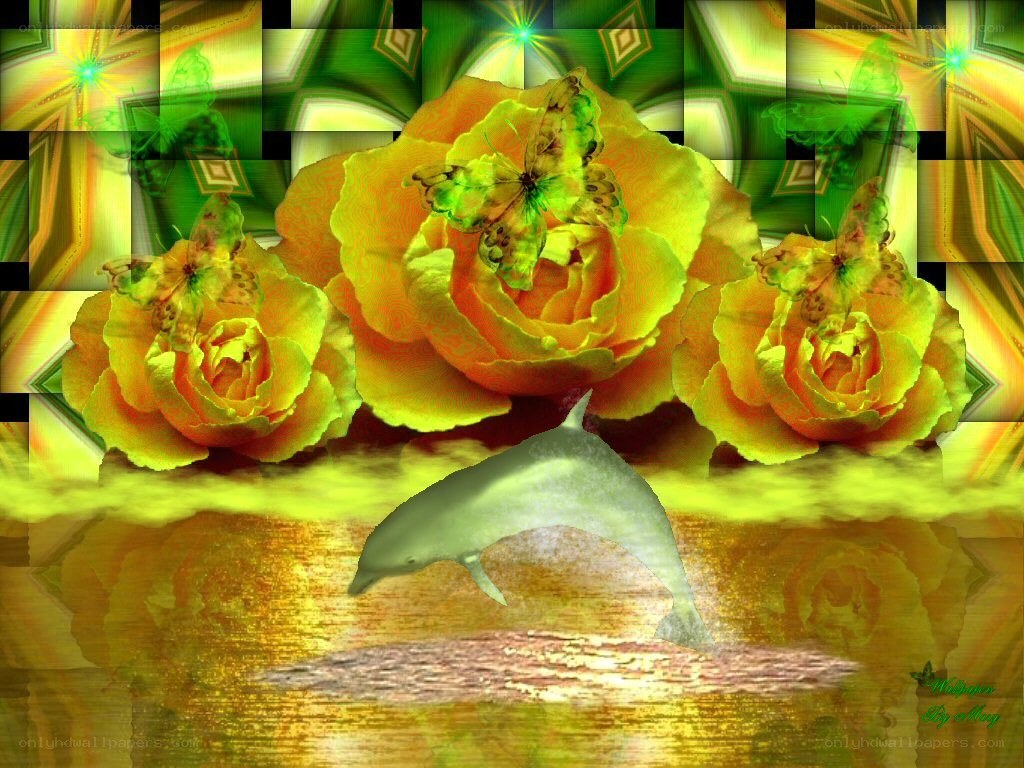 Dolphin and roses collage