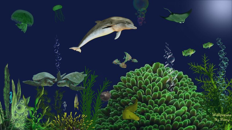 Dolphin and Sea Life