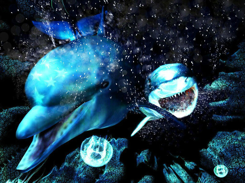 Dolphin and Shark Underwater