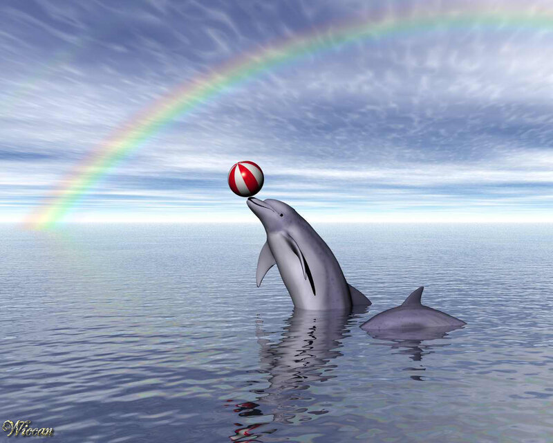 Dolphin Balancing Ball