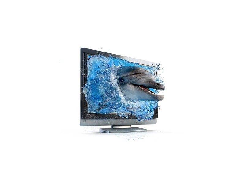 dolphin emerging from screen