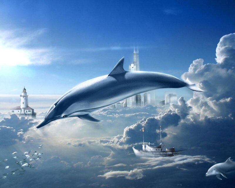 Dolphin Flying in Clouds
