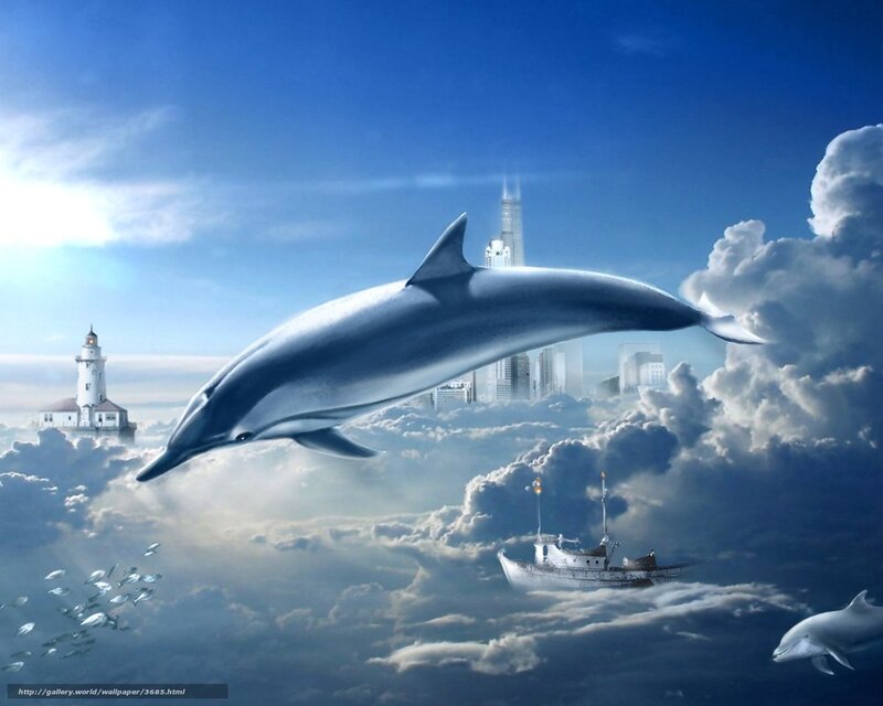 Dolphin flying over clouds