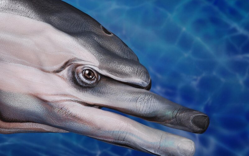 dolphin hand painting