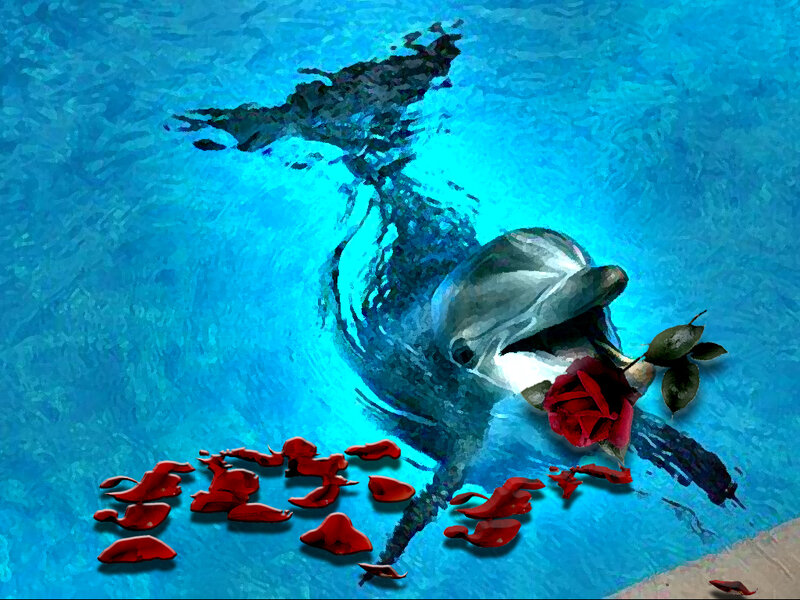 Dolphin Holding Rose