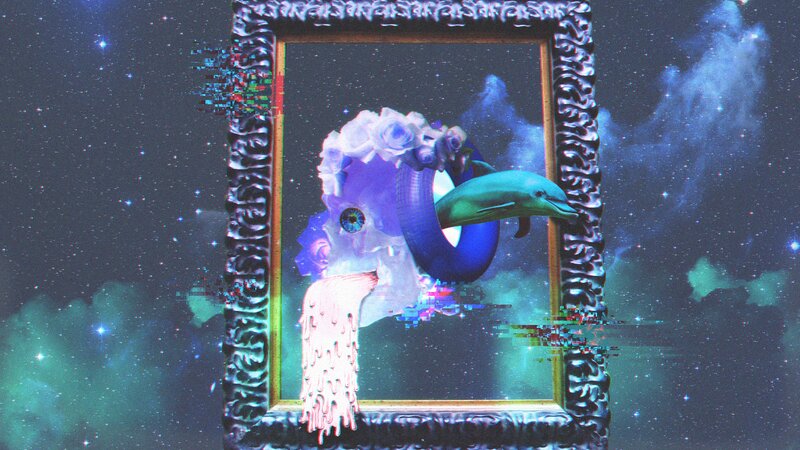 Dolphin in a Frame