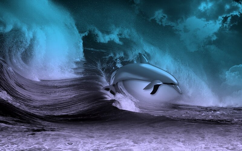 Dolphin in a stormy wave