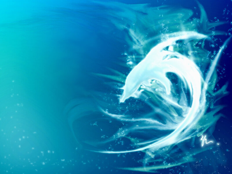 dolphin in blue water
