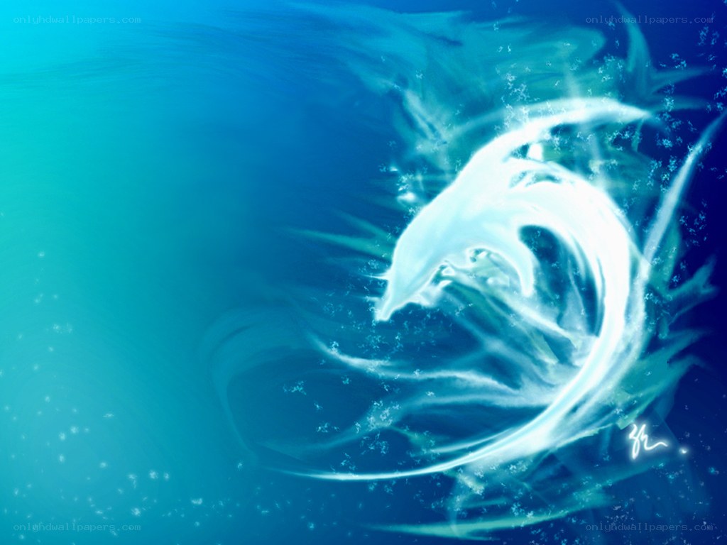 dolphin in blue water