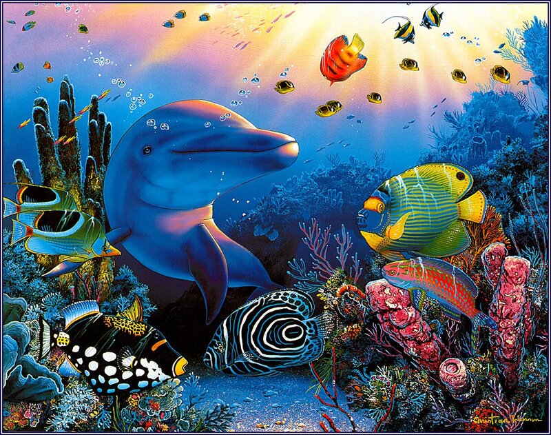 Dolphin in Coral Reef — Blue