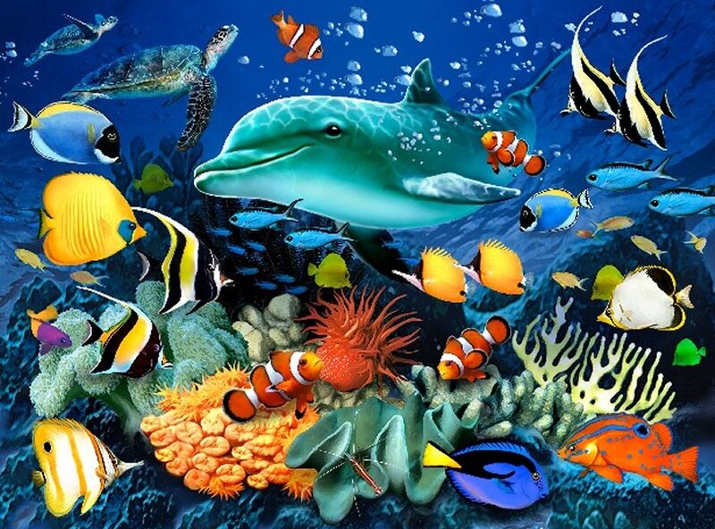 Dolphin in Coral Reef — Blue, Vibrant