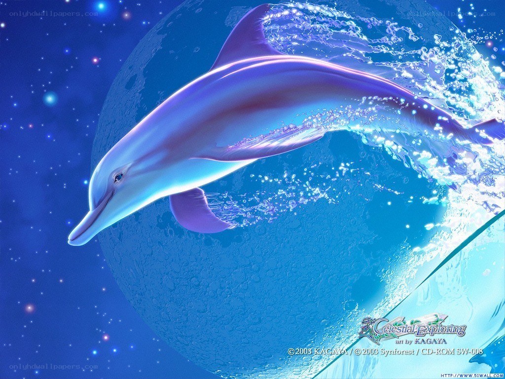 Dolphin in space